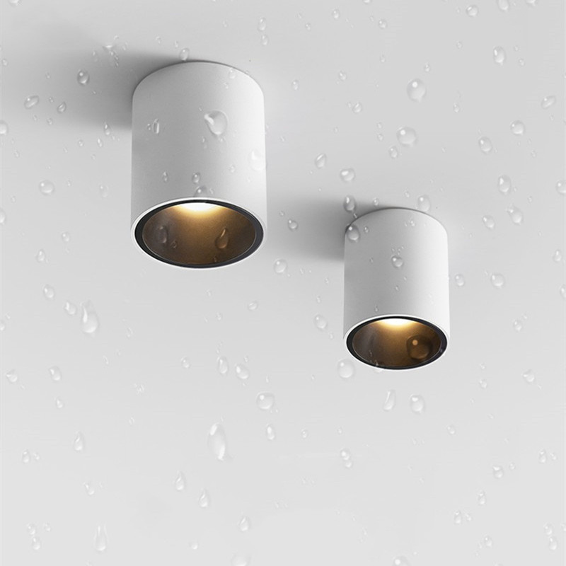 Outdoor Lighting Under Roof - CRI97 Led open waterproof IP65 downlight