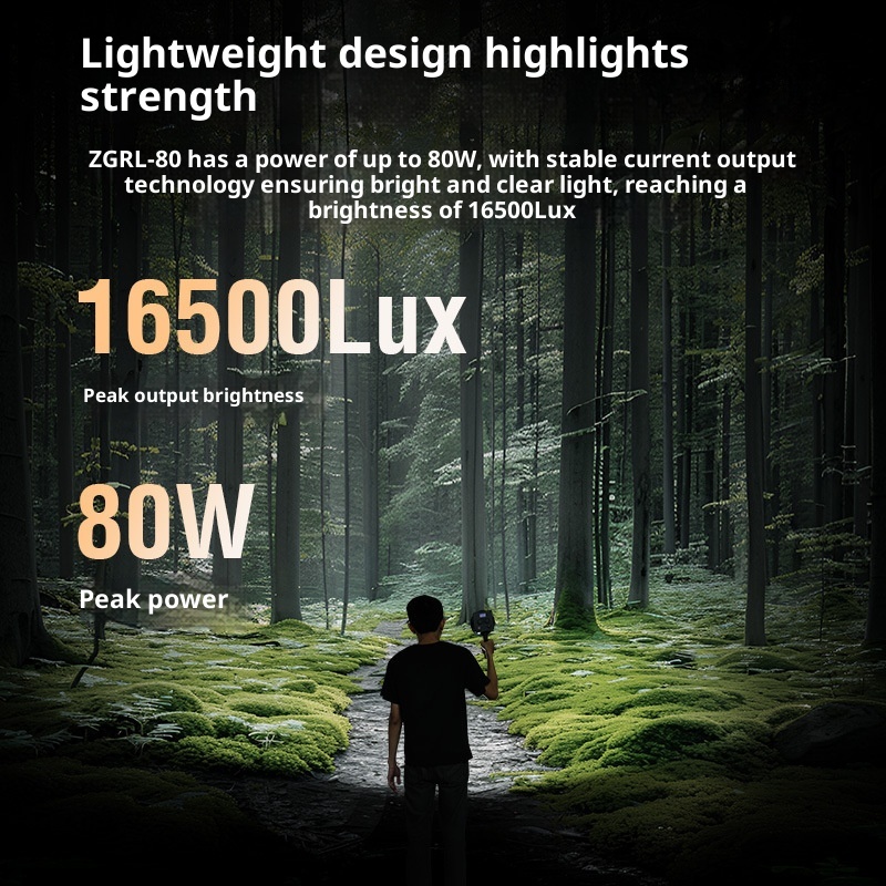 ZGRL80 80W COB Handheld Video  - Outdoor Lighting Video Shooting のレビューと価格
