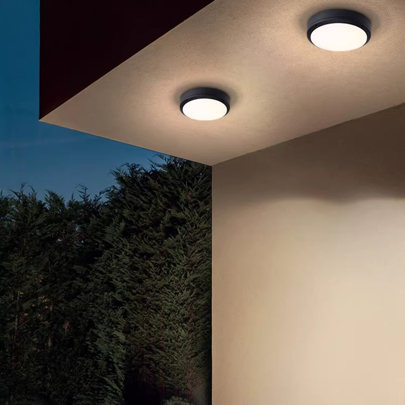 Outdoor Ceiling Light Waterpro - Outdoor Lighting Under Roof のレビューと価格