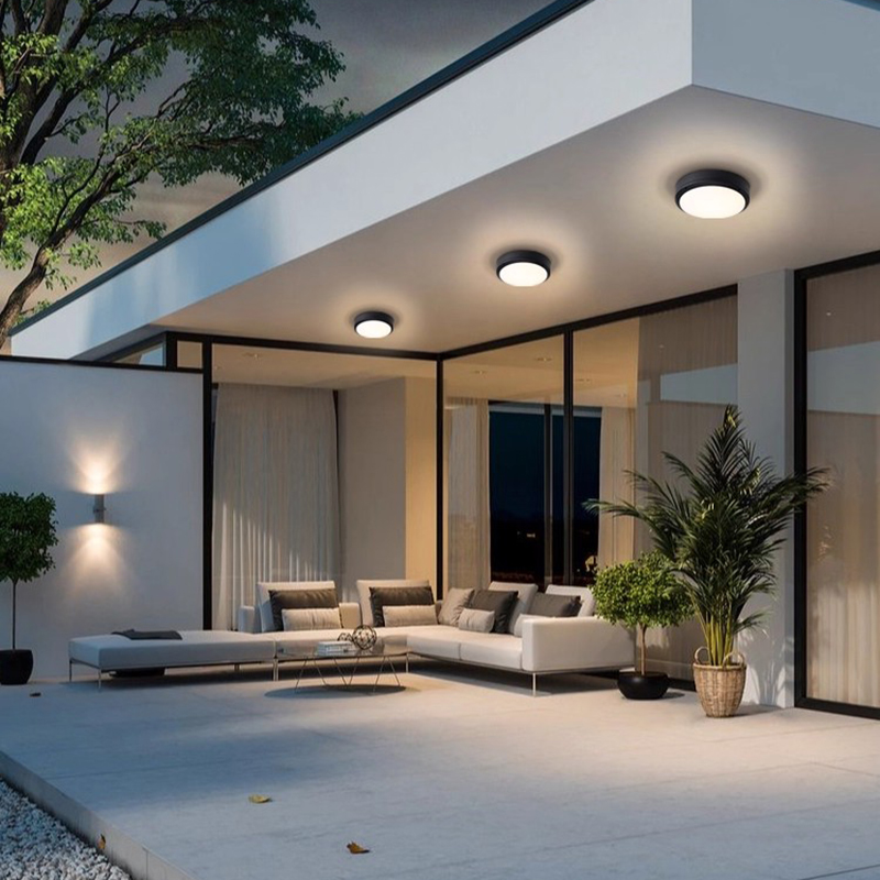 Outdoor Ceiling Light Waterpro - Outdoor Lighting Under Roof のレビューと価格
