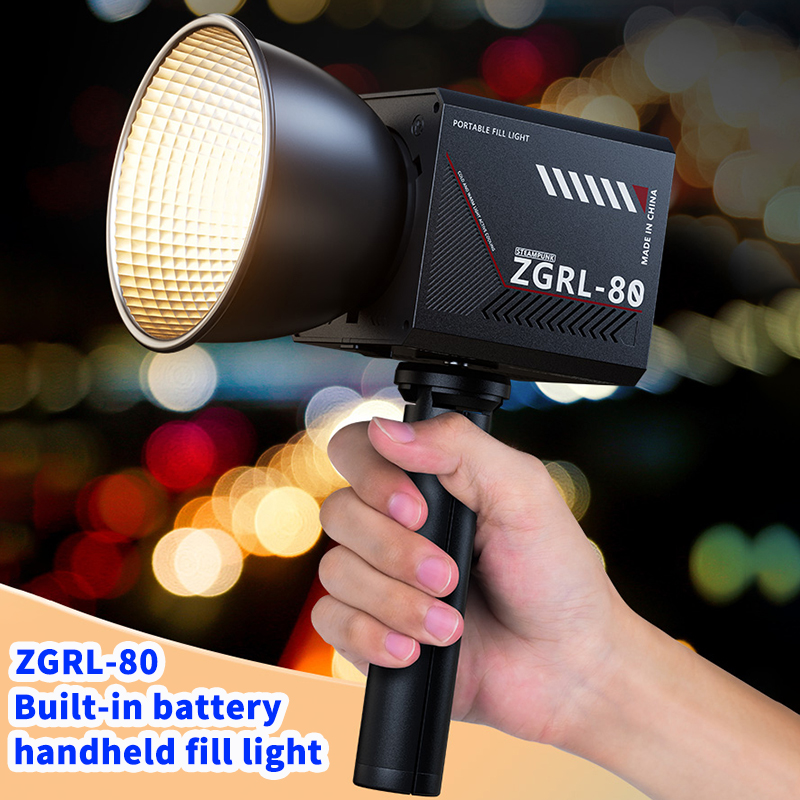 60W Pro Portable LED Video Lig - Outdoor Lighting Video Shooting のレビューと価格