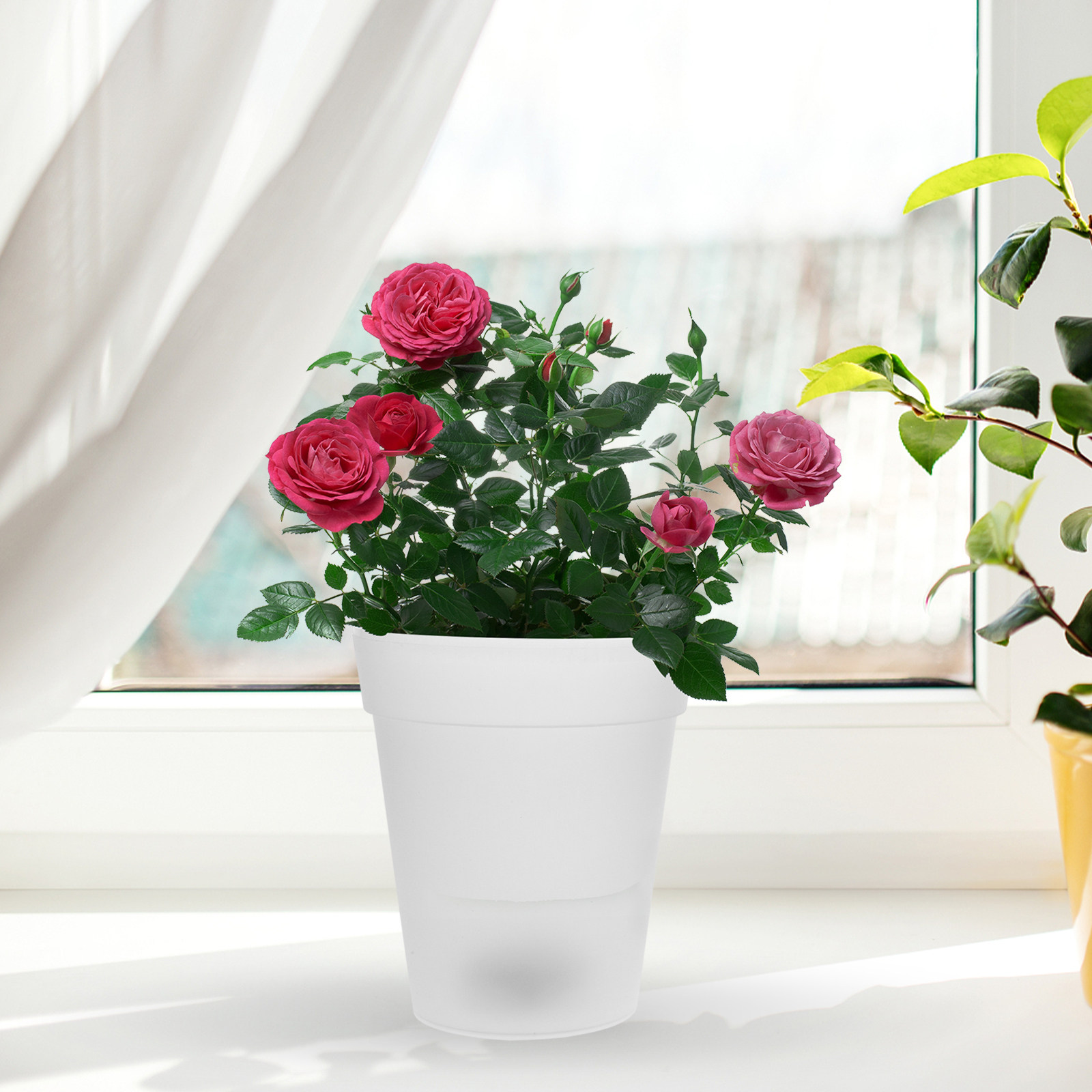 Flowerpot Solar Light Outdoor  - Outdoor Lighting For Christmas のレビューと価格