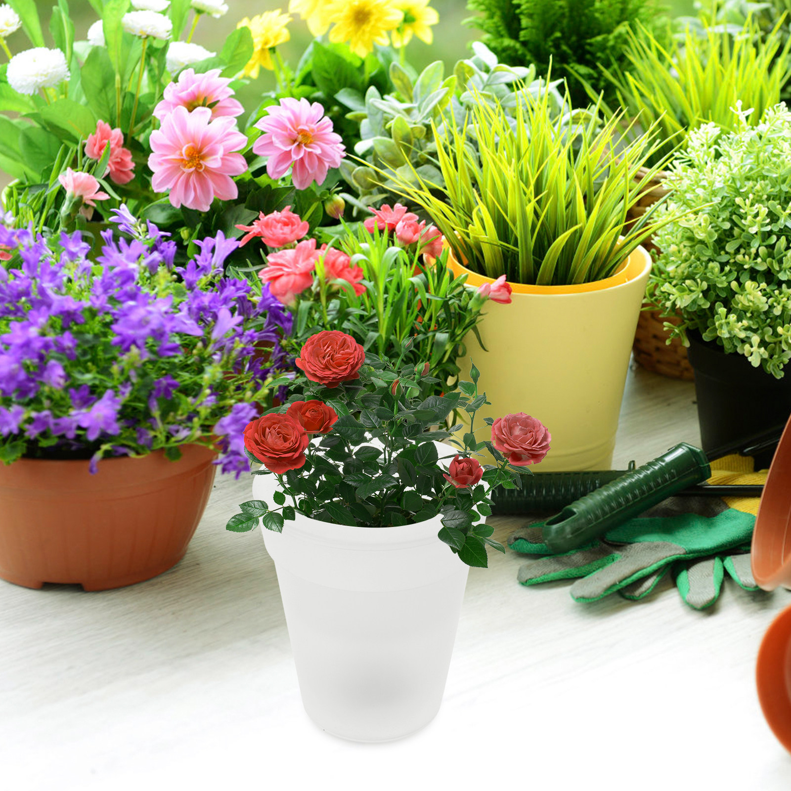 Flowerpot Solar Light Outdoor  - Outdoor Lighting For Christmas のレビューと価格