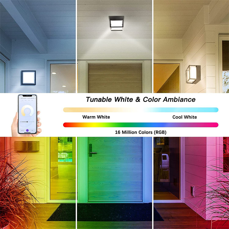 Outdoor Tuya Wifi LED Smart Wa - Outdoor Lighting Under Roof のレビューと価格