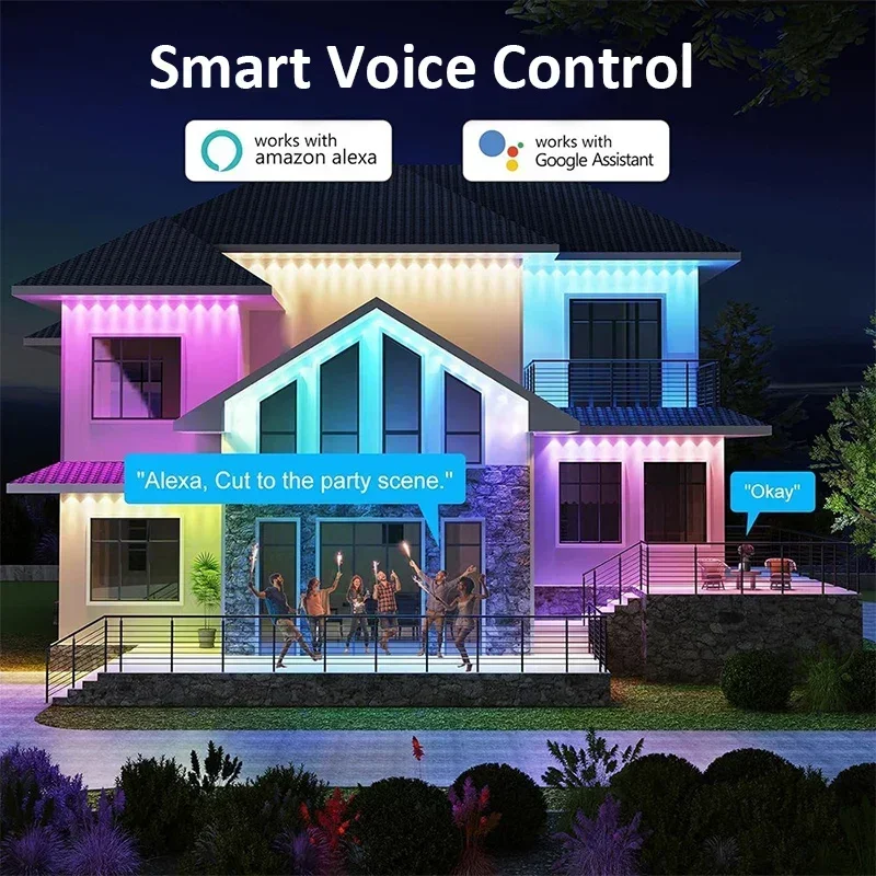 Smart RGBIC Outdoor Permanent  - Outdoor Lighting For Christmas のレビューと価格