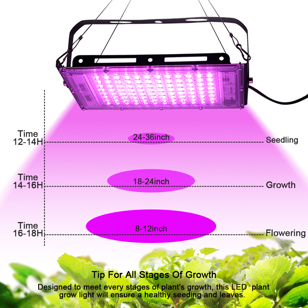Full Spectrum LED Grow Light P - Zumtobel Outdoor Lighting のレビューと価格