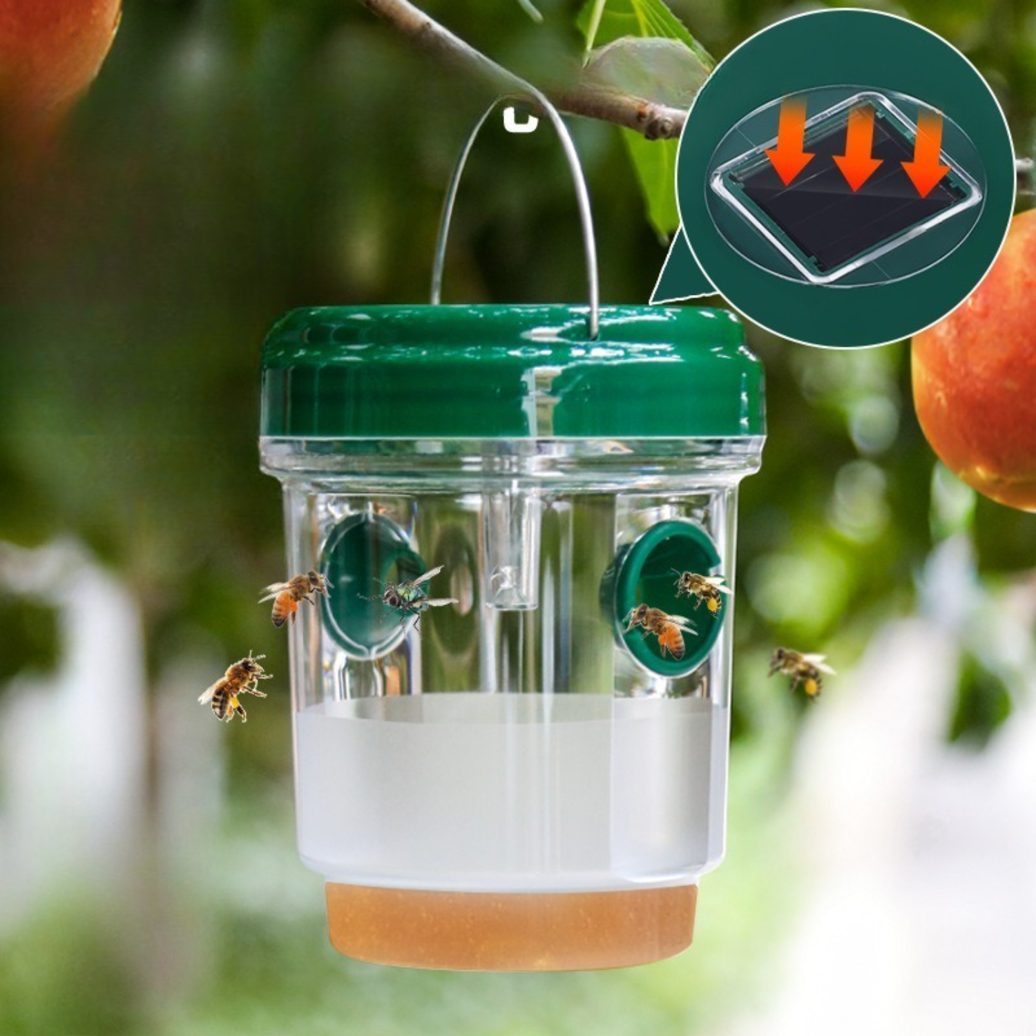 1-6PCS Solar Wasp Trap Waterpr - Outdoor Lighting Solar Panel のレビューと価格